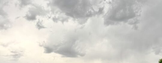Cielo amenazante sobre viñedo en Mendoza con viticultura agroecológica