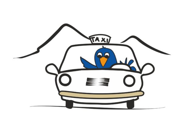 Illustration of a blue bird driving a taxi with mountains in the background, simple drawing style, representing how to get around wineries.