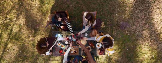 Group of young people toasting outdoors on the grass, sharing wines for real life and enjoying a relaxed, genuine moment together in nature.