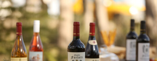 Family Furlotti wines displayed on an outdoor table at Finca Adalgisa, Mendoza