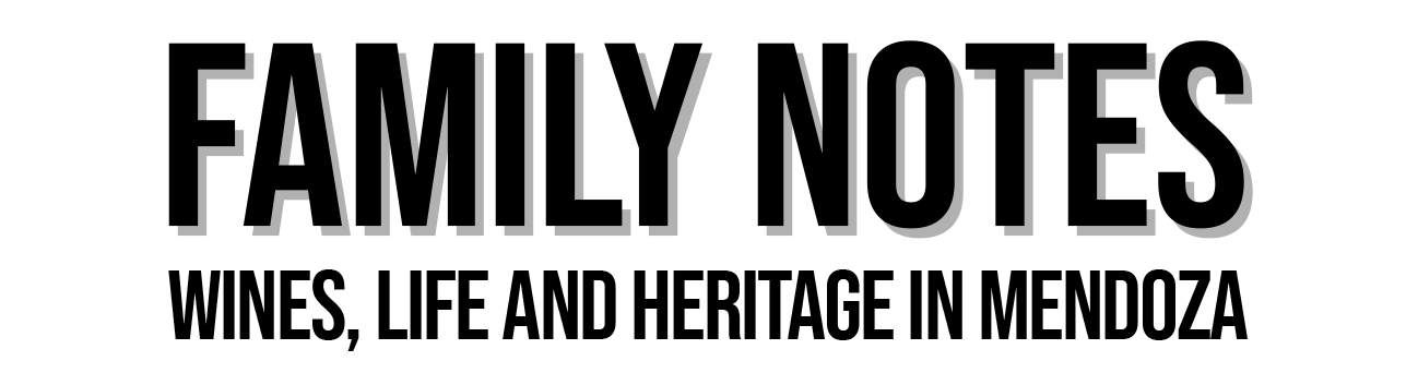 theme-sticky-logo-alt