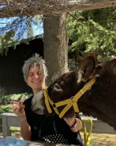 Darwin, one of the donkeys in Mendoza