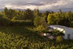 Sunset over the vineyard at Finca Adalgisa in Mendoza.