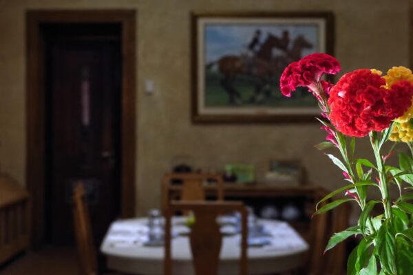 Flores rojas y amarillas en primer plano con el comedor de Finca Adalgisa desenfocado de fondo