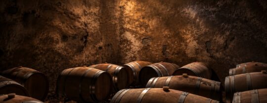 Oak barrels in the Bodega Furlotti cellar, with a shaft of light falling on the wall of an old concrete wine vat