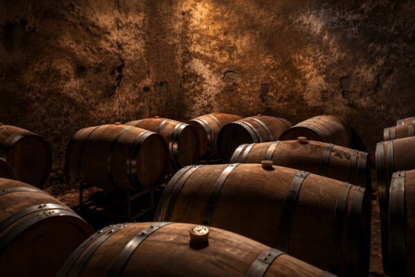 Oak barrels in the Bodega Furlotti cellar, with a shaft of light falling on the wall of an old concrete wine vat