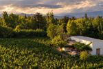 Aerial view of the house and vineyard at Finca Adalgisa at sunset