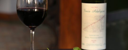 Bruschetta tradicional con aceite de oliva propio y vino de Familia Furlotti en Finca Adalgisa, Mendoza