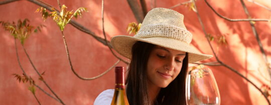 Semillón de Familia Furlotti servido en copa, expresión de vino blanco mendocino elaborado por una bodega familiar