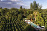 Vista del viñedo y los jardines de Finca Adalgisa en Chacras de Coria, Mendoza