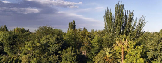 Vista del viñedo y los jardines de Finca Adalgisa en Chacras de Coria, Mendoza