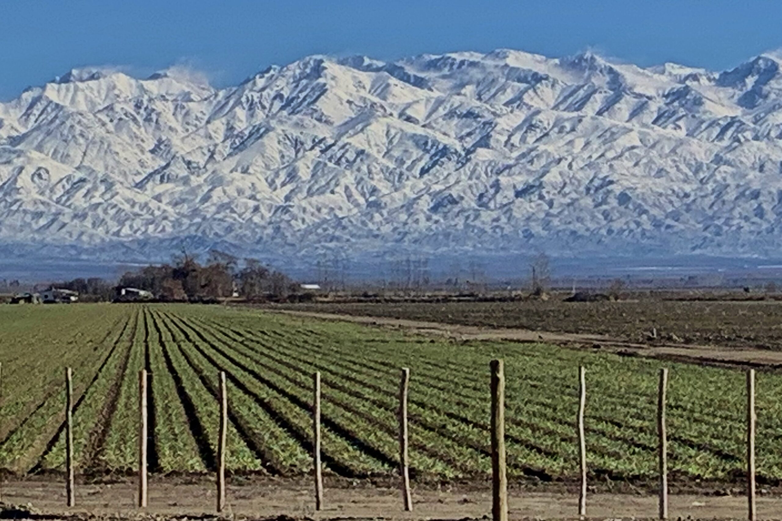 Zona agrícola del Valle de Uco y la cordillera de los Andes al fondo