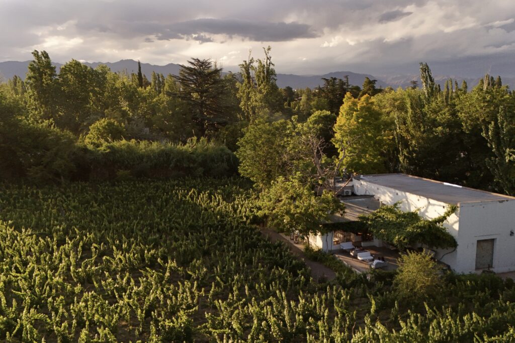 Vista de la pequeña bodega, el wine bar lounge y el viñedo de Finca Adalgisa en Chacras de Coria, Mendoza.