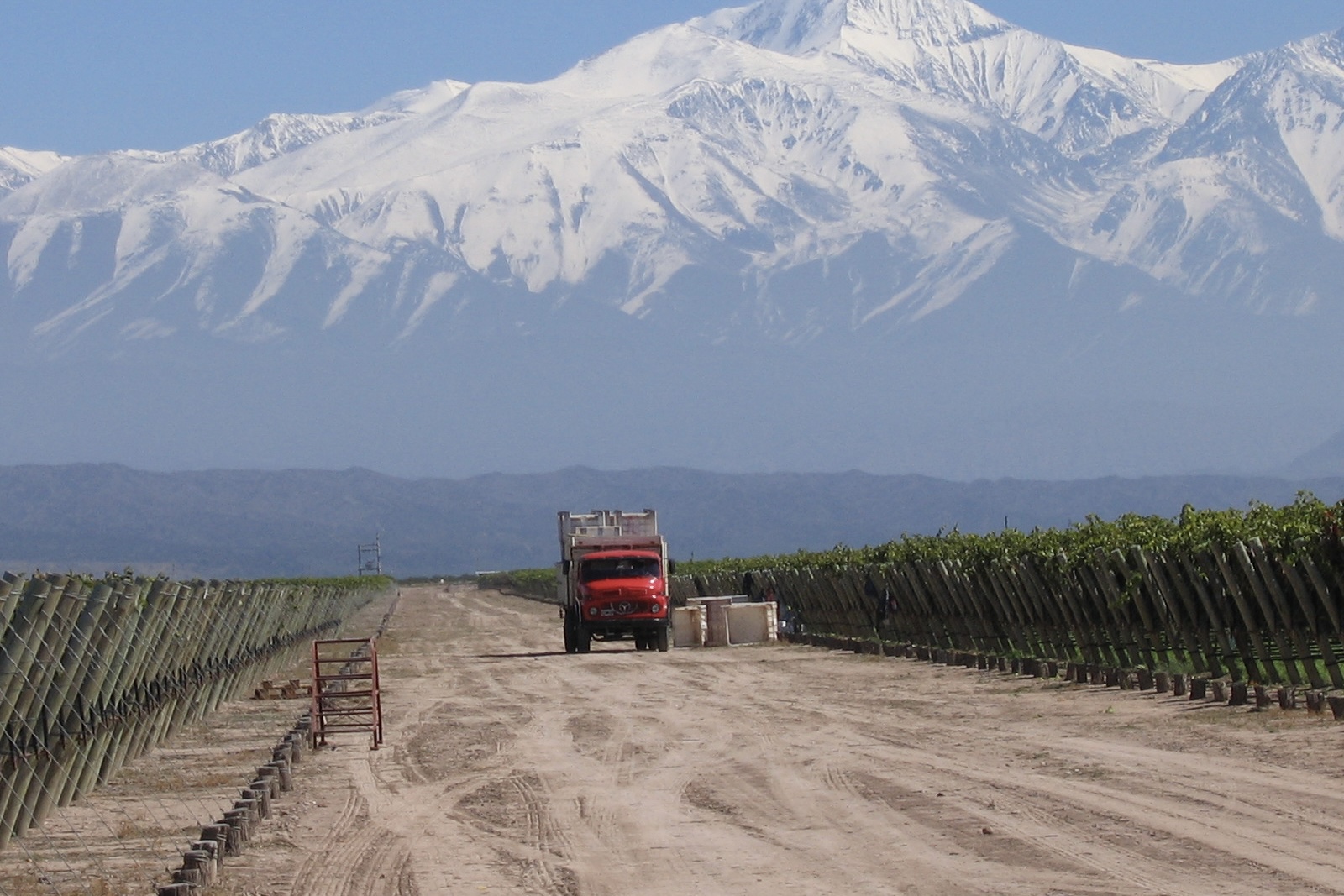Camino de tierra en zona agrícola, viñedos a los costados, tractor trabajando, cordillera de los Andes nevada al fondo. Escena productiva, no turística.