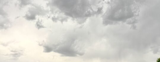 Cielo amenazante sobre viñedo en Mendoza con viticultura agroecológica