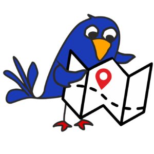 Ilustración de un pájaro azul mirando un mapa, en estilo dibujo simple.
