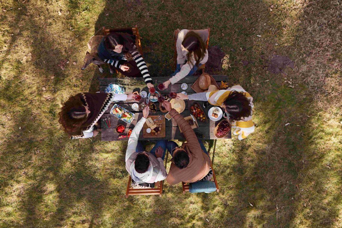 Grupo de jóvenes brindando al aire libre, reunidos sobre el césped y compartiendo vinos para la vida real, disfrutando juntos en un entorno natural.