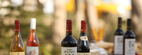 Family Furlotti wines displayed on an outdoor table at Finca Adalgisa, Mendoza