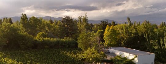 atardecer en finca adalgisa
