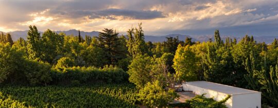 Vista aérea de la casa y el viñedo de Finca Adalgisa al atardecer